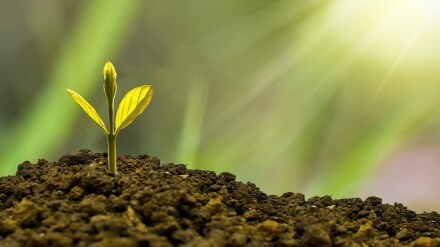 investing strategy