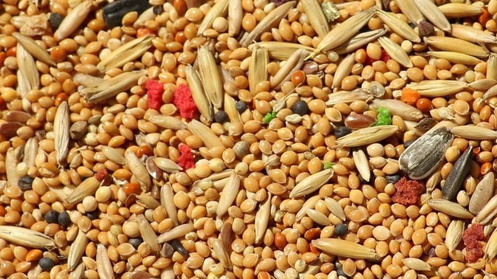millets, economy