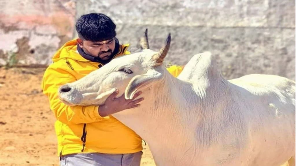 Bhiwani killings, rajasthan