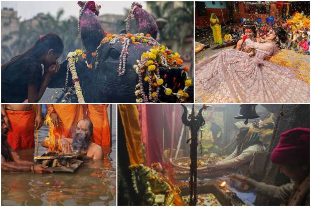 On Saturday, the Maha Shivratri festival was celebrated with traditional zeal and fervour in different parts of India. A large number of devotees thronged Hindu temples (dedicated to Lord Shiva) to take part in special rituals. Long queues were spotted since early morning.Unlike last year, there was no restriction this year. As a result, the rush of devotees was comparatively more in many shrines to offer prayers on the auspicious day.During Maha Shivratri, in Hindu families, people observe fasting, dedicate the leaves of the 'Koovalam' plant (which is considered holy as per tradition) to Lord Shiva, and forgo their sleep chanting 'Om Namah Shivaya' mantras to mark the day.Celebrated annually, Maha Shivaratri is a Hindu festival in honour of Lord Shiva. The festival marks the wedding of God Shiva and Goddess Parvati. It is also regarded to be the occasion when the almighty performs his divine dance, called the Tandava.