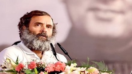 rahul gandhi, congress