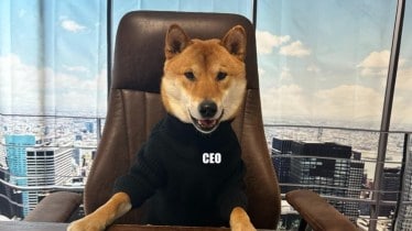 Meet Twitter new CEO