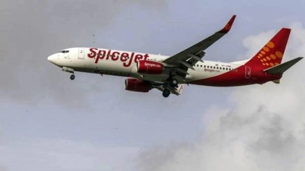 SpiceJet, SpiceJet profit, Q4 result, Net profit, Industry