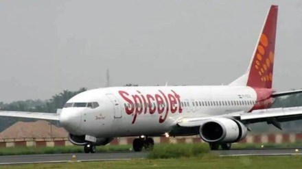 spicejet shares spicejet shares