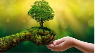 sutainale development. economy