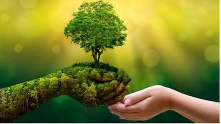 sutainale development. economy sutainale development. economy