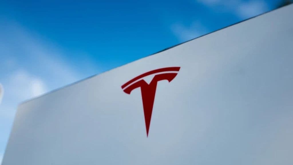 tesla fires autopilot employees