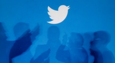 Twitter Blue Bug