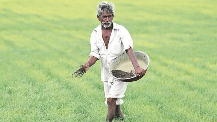 economy, agriculture