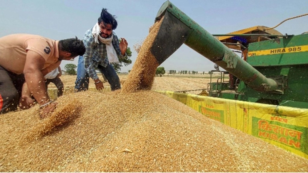 Wheat, Wheat price, FCI, Food ministry, Economy