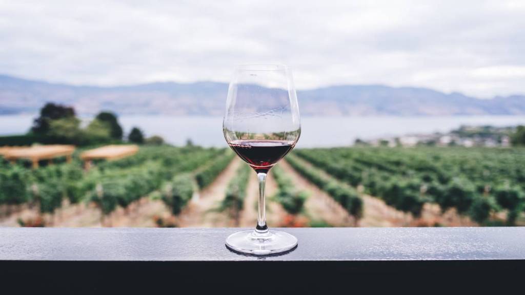 wine, best wine, types of wine, wine types, different wine, wine storing, alcohol news, liquor news