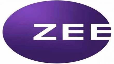 zeel shares
