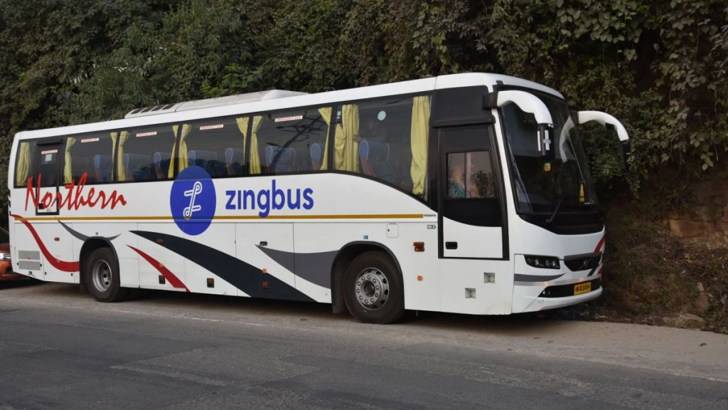 zingbus