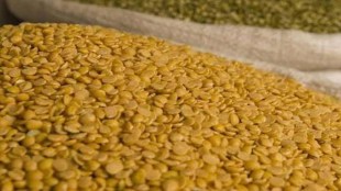 whole tur, whole tur import duty, whole tur price,