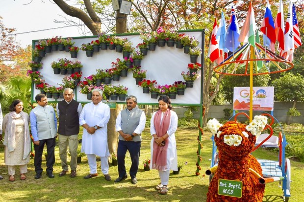 The flower festival, themed ‘Colour and Vibrancy', is showcasing the vibrancy and colourful display of G20 members and guest countries. (PTI photo)