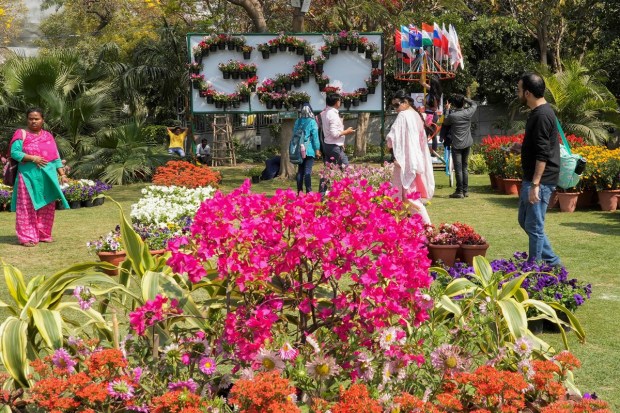 The festival also showcases paintings or photographs of flowers such as national flowers or major flower gardens of G20 members and guest countries. (PTI photo)
