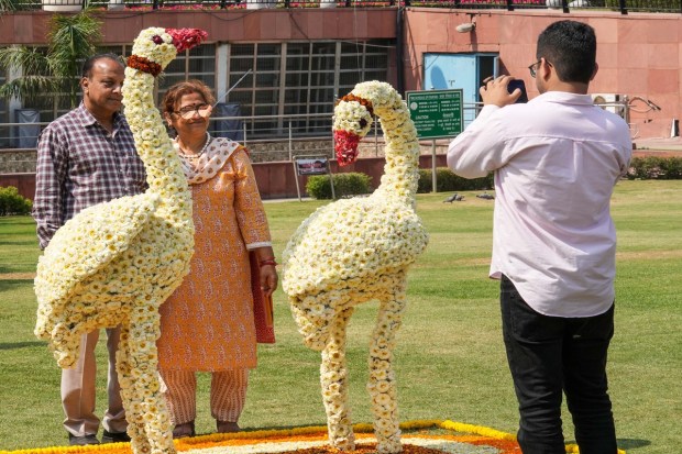Visitors during the inauguration of the G20 Flower Festival at Central Park of the Connaught Place. (PTI photo)