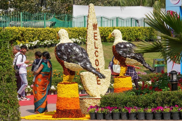The public can also purchase their favourite plants from various stalls set up in the event. (PTI photo)