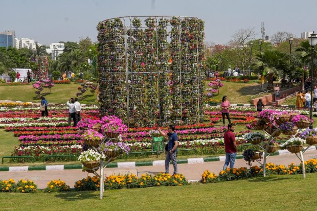 Flower plants of different colours and varieties are on display in different forms and installations. (PTI photo)