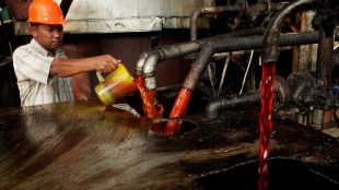 palm oil, import, consumption, lower price, vegetable oils, sunflower oil, India