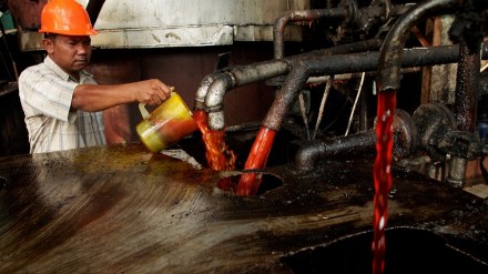 palm oil, import, consumption, lower price, vegetable oils, sunflower oil, India