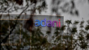 LIC, Life Insurance Corporation, LIC news, LIC stake, Adani, Adani group, Adani news, market news