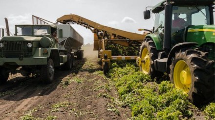 Agri exports up 9% to $23 bn in Apr-Feb Agri exports up 9% to $23 bn in Apr-Feb