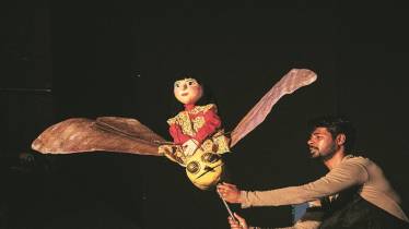 puppets, shadow,