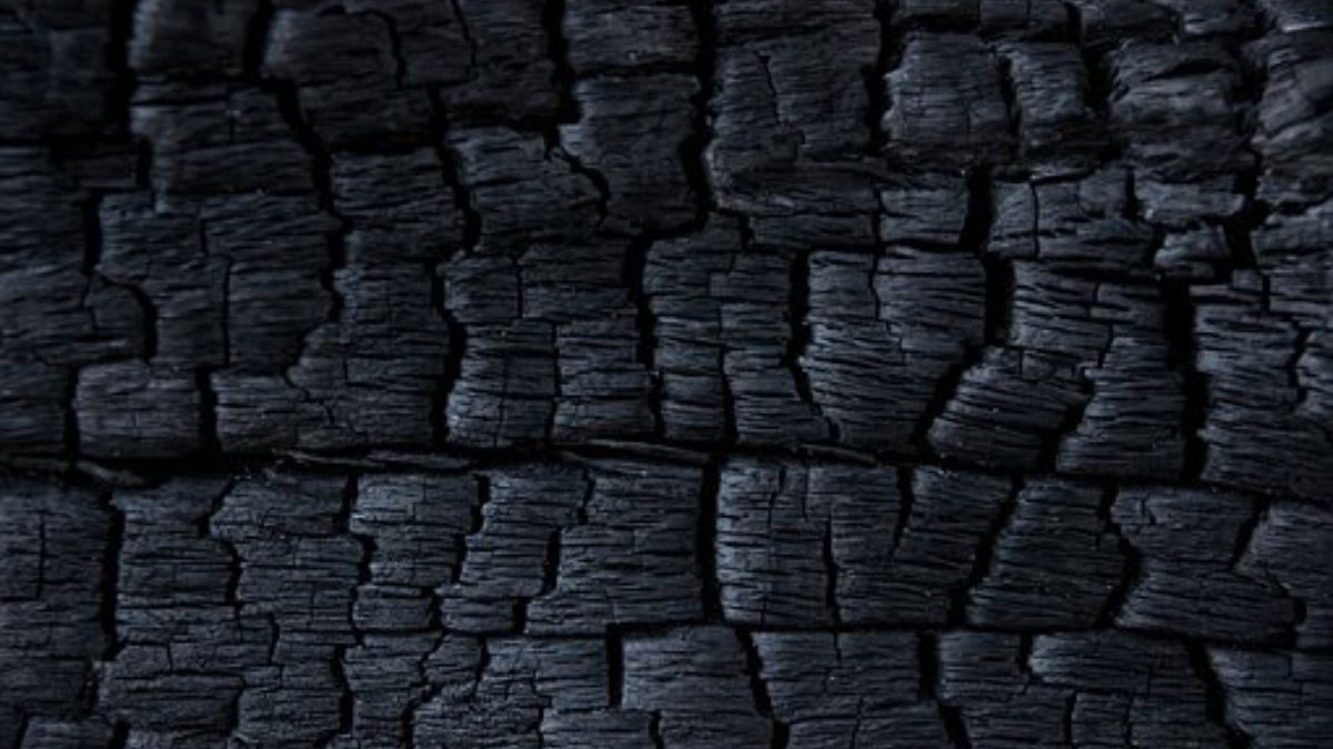Coal ministry unlikely to meet FY24 target for production Coal ministry unlikely to meet FY24 target for production