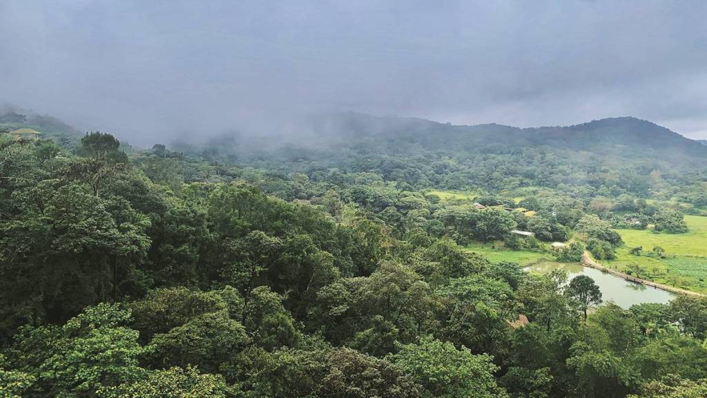 Novel, A northern parley