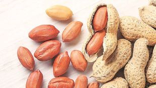 National Commodity and Derivatives Exchange, ncdex, commodity, share market