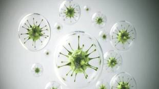 coronavirus pandemic, COVID-19, flu, healthcare news,