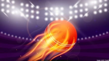 Going by Rario’s official website, it’s a licensed digital collectibles platform for cricket fans