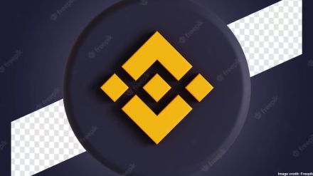 Going by Binance’s official website, it’s a cryptocurrency infrastructure provider Going by Binance’s official website, it’s a cryptocurrency infrastructure provider