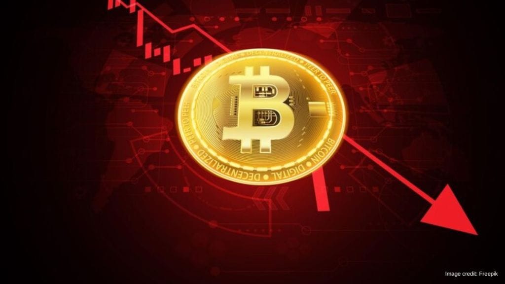 Experts believe diversification of crypto can be effective in maximizing profits of investors