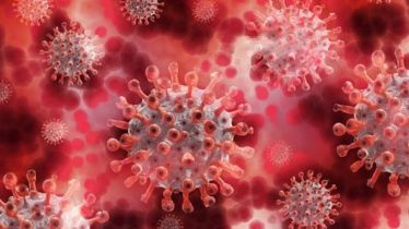 coronavirus pandemic, covid-19, gene, covid-19, healthcare news, covid news,