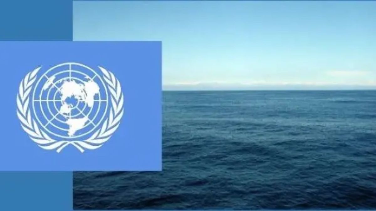 The High Seas Treaty a monumental step towards marine conservation The High Seas Treaty a monumental step towards marine conservation