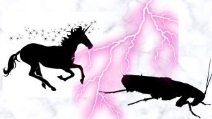 Unicorns Vs Cockroach startups