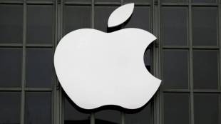 apple inc
