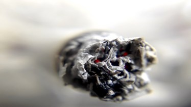 World No Tobacco Day, World No Tobacco Day 2023, smoking, smoking side effects, healthcare news,