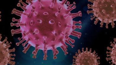 COVID-19, coronavirus pandemic, molecule, healthcare news,
