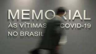 covid 19 death cases in brazil
