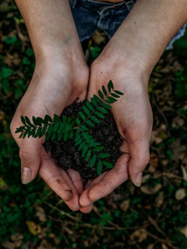 sbi fixed deposit interest rates 2023