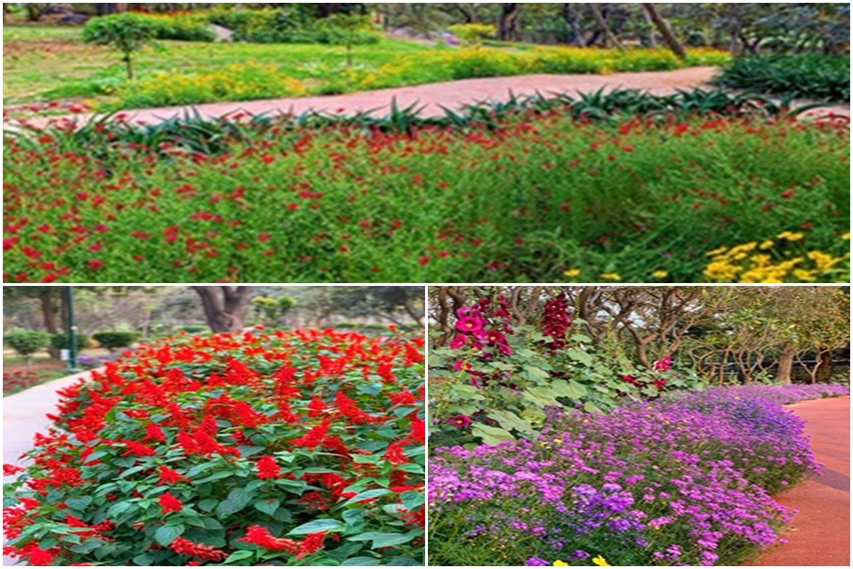 Nehru Park, Nehru Park garden, Flowers, Spring, Flower blossom, Nehru Park visitors, Morning walkers, Nehru Park in Pics
