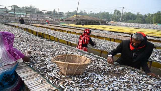 Bidisha mondal, msme, sme, women entrepreneur, women loan, plfs, Periodic Labour Force Survey Bidisha mondal, msme, sme, women entrepreneur, women loan, plfs, Periodic Labour Force Survey
