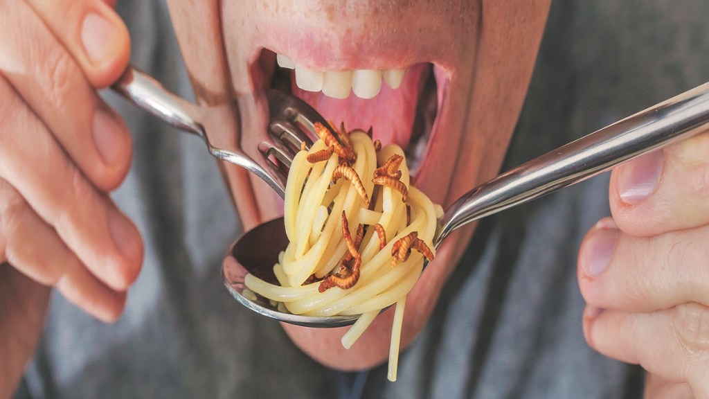 lifestyle, lifestyle news