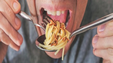 lifestyle, lifestyle news