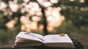 book, book review