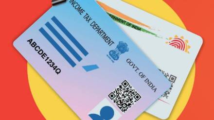 how to know pan aadhaar link status