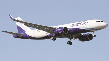indigo, aviation
